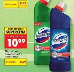 Biedronka Płyn do wc Domestos oferta