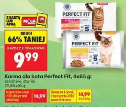 Biedronka Karma dla kota Perfect Fit oferta