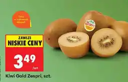 Biedronka Kiwi Gold Zespri oferta