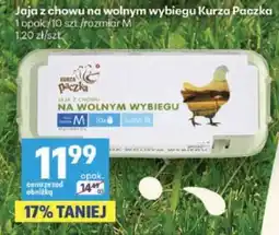 Delikatesy Centrum Jaja z chowu na wolnym wybiegu Kurza Paczka oferta