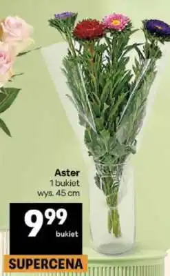 Delikatesy Centrum Aster oferta