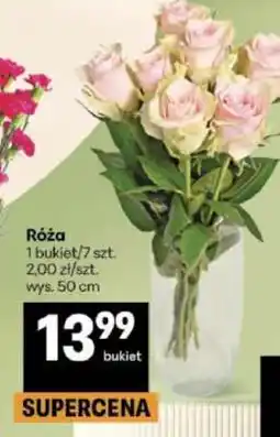 Delikatesy Centrum Róża oferta