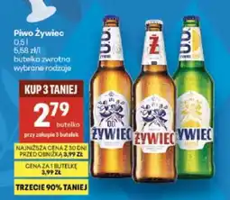 Delikatesy Centrum Piwo Żywiec oferta
