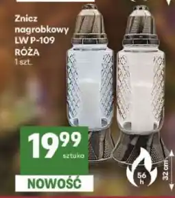 Delikatesy Centrum Znicz nagrobkowy LW P-109 RÓŻA oferta
