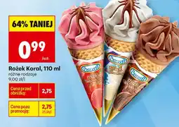 Biedronka Lody Koral oferta