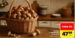 Carrefour Koszyk oferta