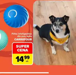 Carrefour Piłka dla psa Carrefour oferta