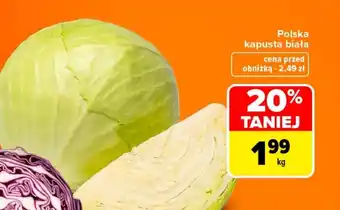 Kapusta biała