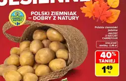Carrefour Market Ziemniaki Jakość z natury oferta