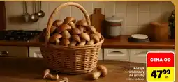 Carrefour Market Koszyk oferta