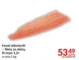 Makro Łosoś Atlantycki oferta