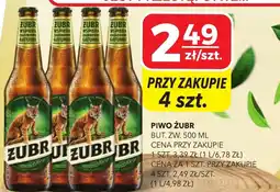 Top Market Piwo Żubr oferta