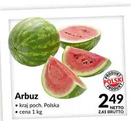 Makro Arbuz oferta