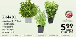 Makro Zioła XL Baziółka oferta