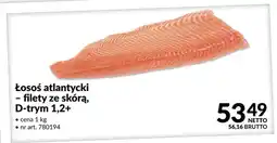 Makro Łosoś Atlantycki oferta