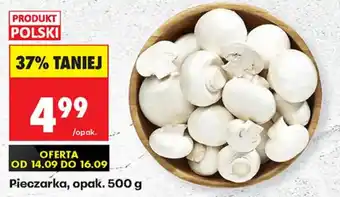 Biedronka Pieczarka oferta
