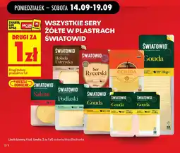 Biedronka Światowid Ser Rycerski oferta