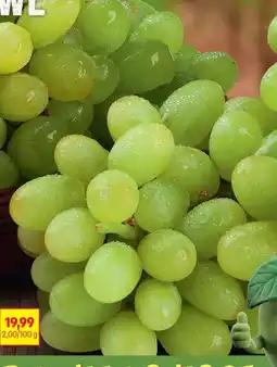Biedronka Winogrona oferta