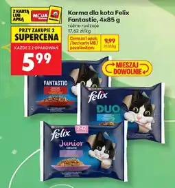 Biedronka Karma dla kota Felix Fantastic oferta