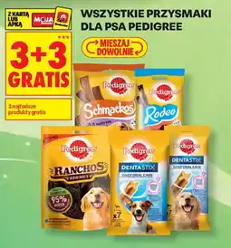 Biedronka Pedigree Przysmaki oferta