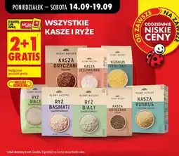 Biedronka Plony Natury Kasza Gryczana Prazona oferta
