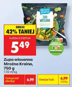 Biedronka Zupa wiosenna Mroźna Kraina oferta