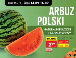 Biedronka Arbuz Polski oferta