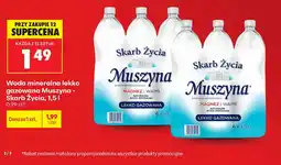 Biedronka Woda mineralna lekko gazowana Muszyna - Skarb Życia oferta