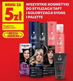 Biedronka Kosmetyki do stylizacji Taft i koloryzacji Syoss i Palette oferta