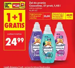 Biedronka Żel do prania Coccolino oferta