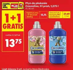 Biedronka Płyn do płukania Coccolino oferta