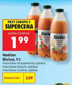 Biedronka Nektar Riviva oferta