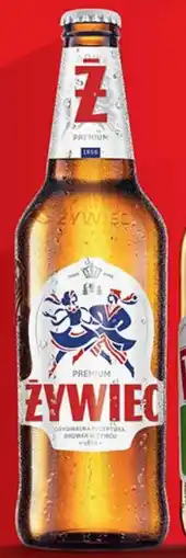 Biedronka Piwo Zywiec oferta
