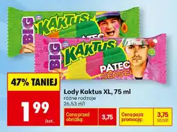 Biedronka Lody Kaktus XL oferta