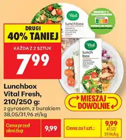 Biedronka Lunchbox Vital Fresh oferta