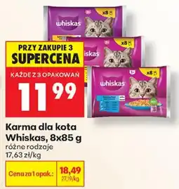 Biedronka Karma dla kota Whiskas oferta