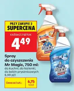 Biedronka Spray do czyszczenia Mr Magic oferta