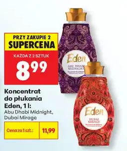 Biedronka Koncentrat do płukania Eden oferta