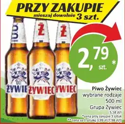 Passa Piwo Żywiec oferta