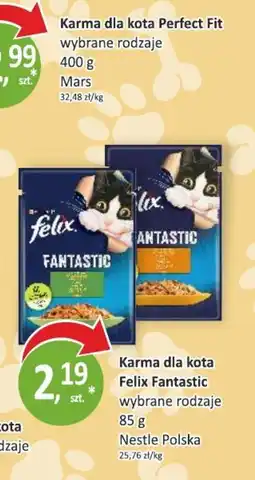 Passa Karma dla kota Felix Fantastic wybrane rodzaje oferta