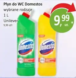 Passa Płyn do WC Domestos wybrane rodzaje oferta