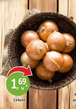 Passa Cebula oferta