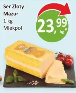 Passa Ser Złoty Mazur oferta