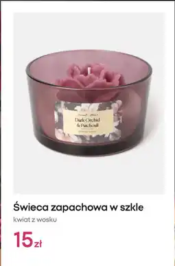 Pepco Świeca zapachowa w szkle kwiat z wosku Sweet Home Dark Orchid & Patchouli oferta