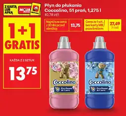 Biedronka Płyn do płukania Coccolino oferta