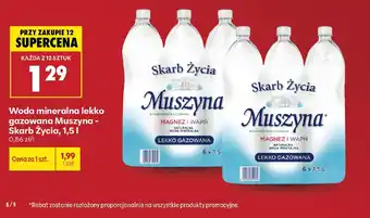 Woda mineralna lekko gazowana Muszyna - Skarb Życia