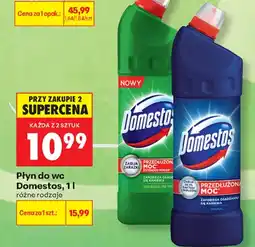 Biedronka Płyn do wc Domestos oferta