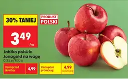 Biedronka Jabłko polskie Jonagold oferta
