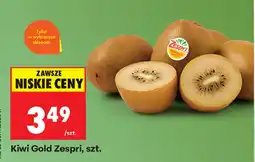 Biedronka Kiwi Gold Zespri oferta