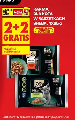 Biedronka Karma dla kota Sheba oferta